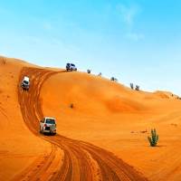 Best Layover Tours in Dubai